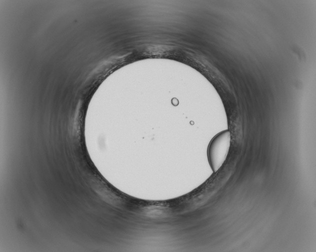 X0000112760505200910011218