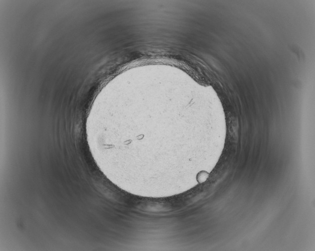 X0000112760507200910011218