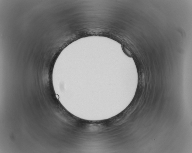 X0000112760508200910011218