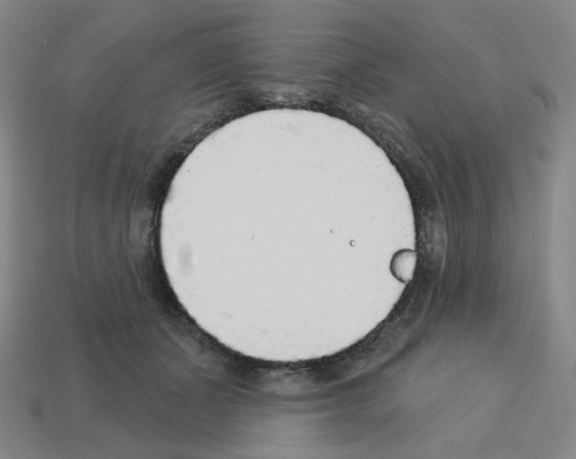 X0000112760511200910011218