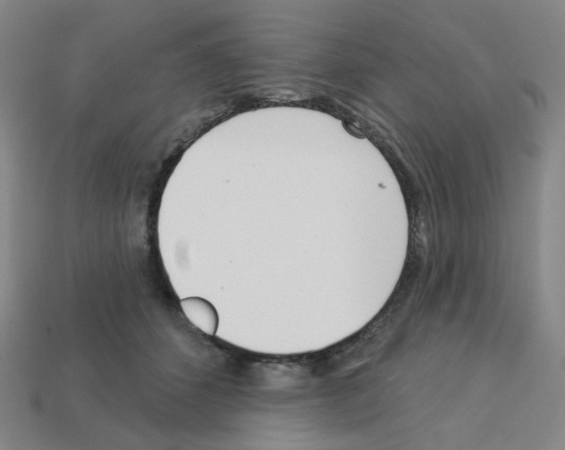 X0000112760512200910011218