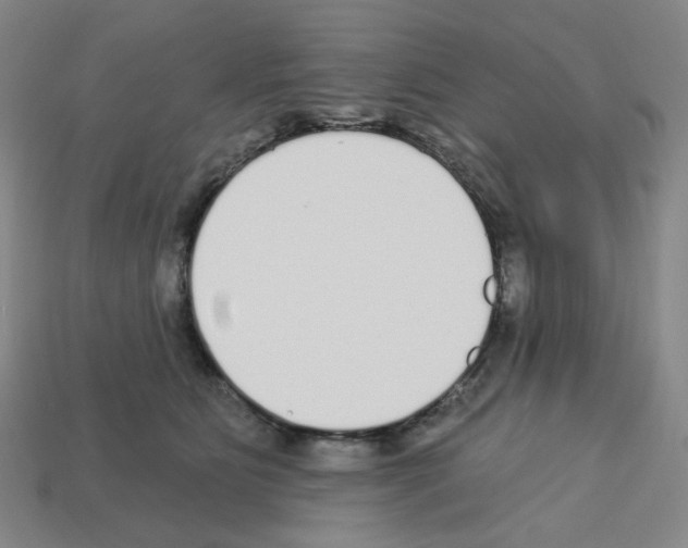 X0000112760515200910011218