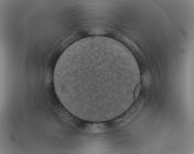 X0000112760517200910011218