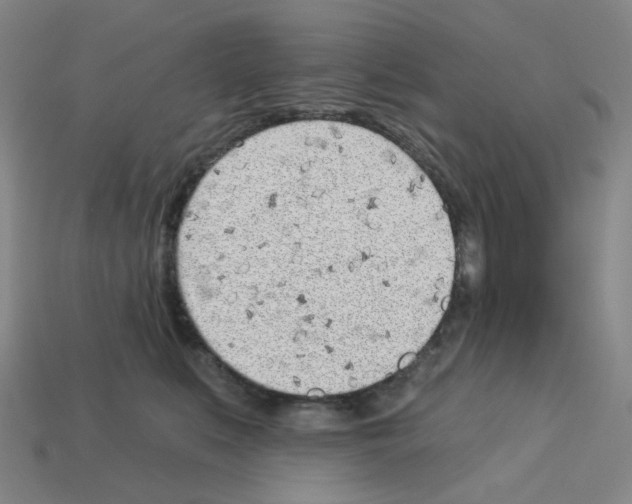 X0000112760519200910011218