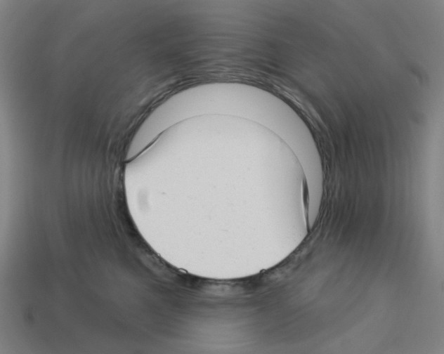 X0000112760521200910011218