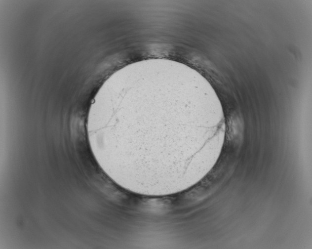 X0000112760522200910011218