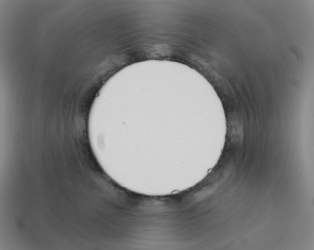 X0000112760523200910011218