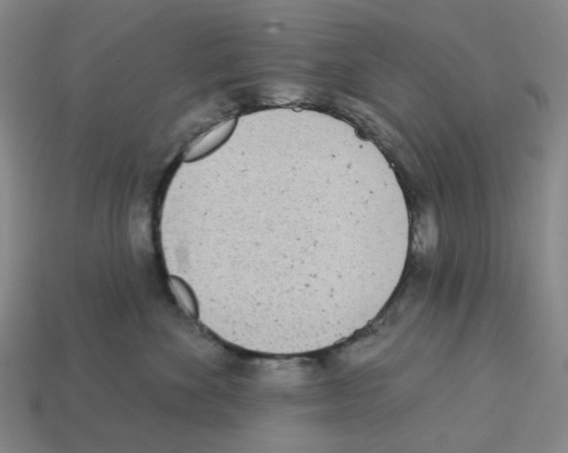 X0000112760524200910011218