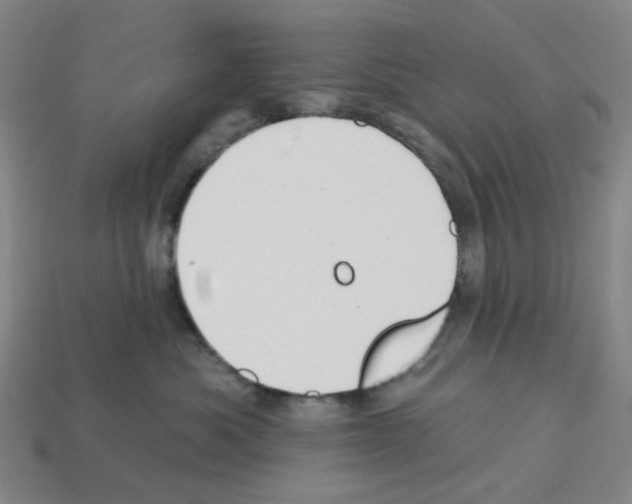 X0000112760525200910011218