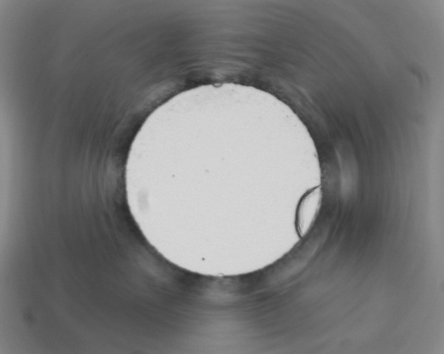 X0000112760527200910011218