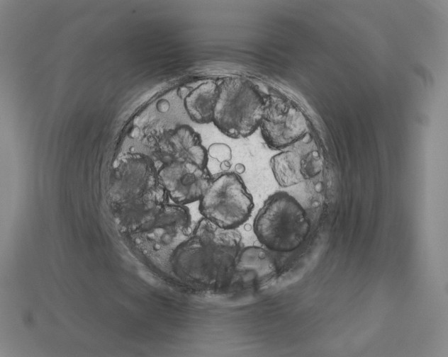 X0000112760529200910011217