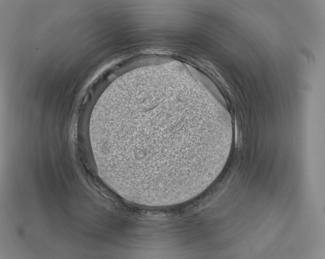X0000112760531200910011218