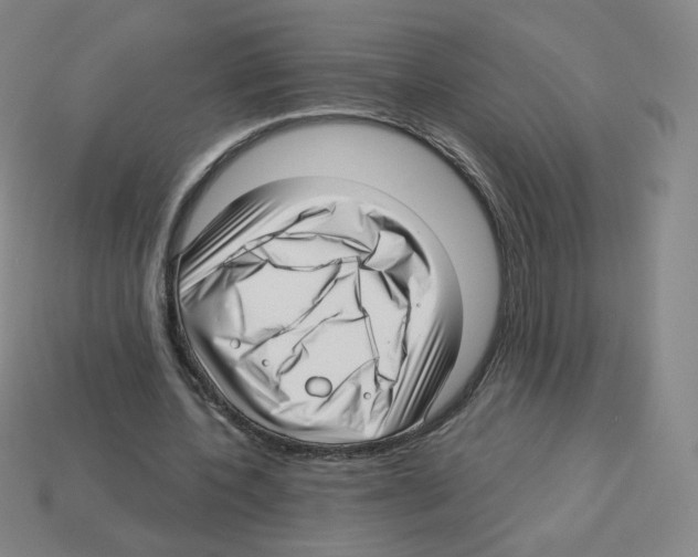 X0000112760532200910011218