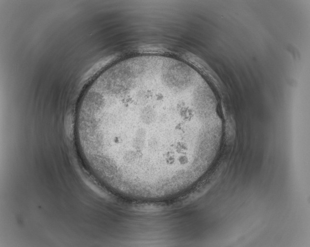 X0000112760533200910011218