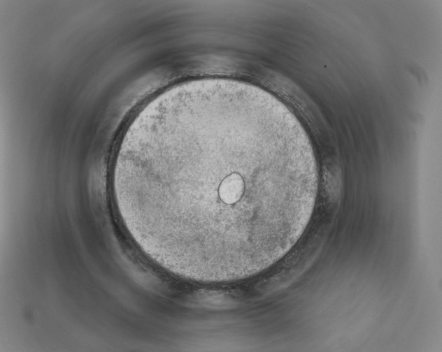 X0000112760534200910011218