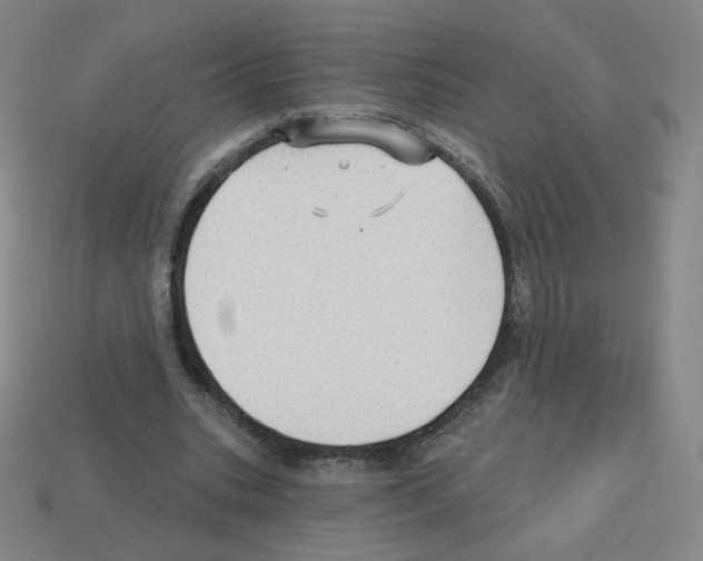 X0000112760535200910011218