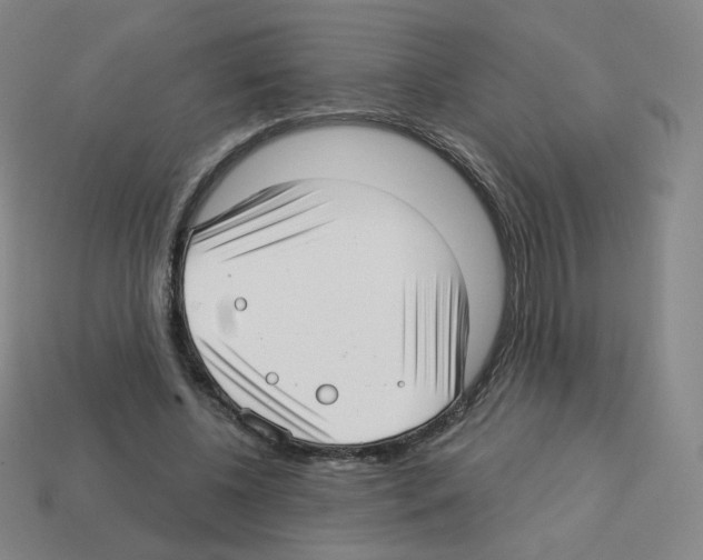 X0000112760540200910011218