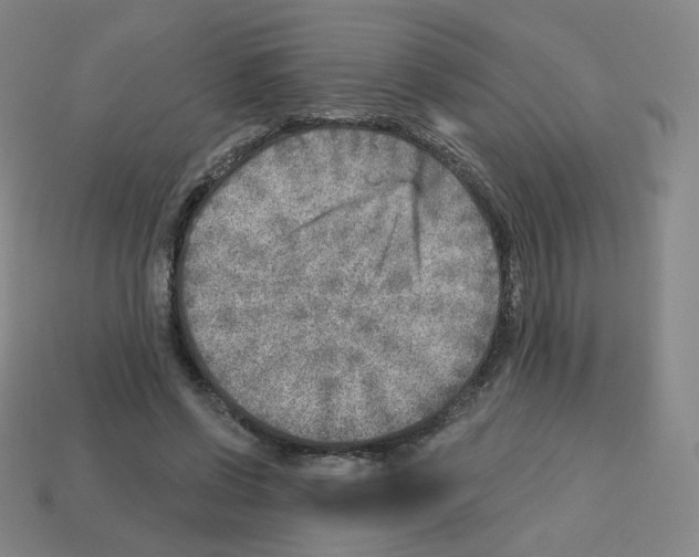 X0000112760542200910011218