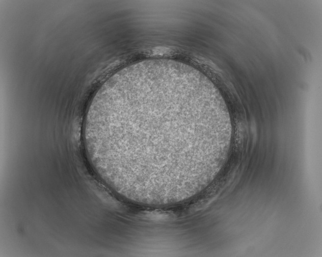 X0000112760545200910011218