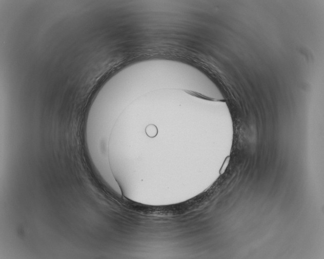 X0000112760546200910011218