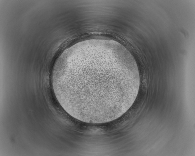 X0000112760547200910011218