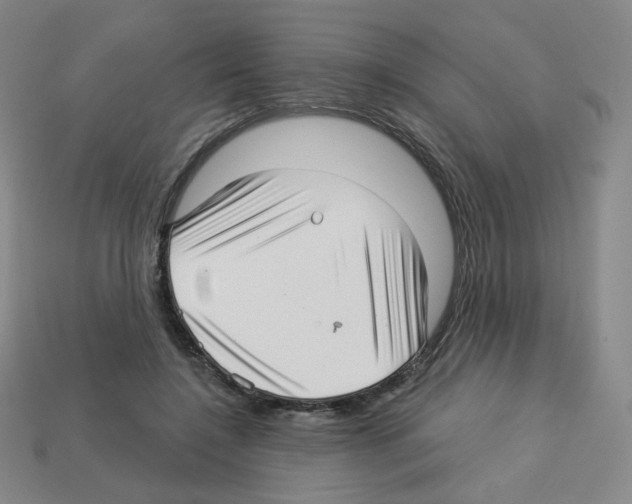 X0000112760548200910011218