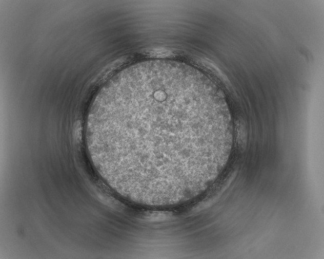X0000112760549200910011218