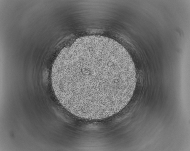 X0000112760550200910011218