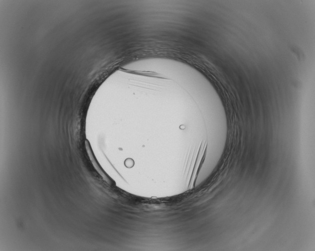 X0000112760552200910011218