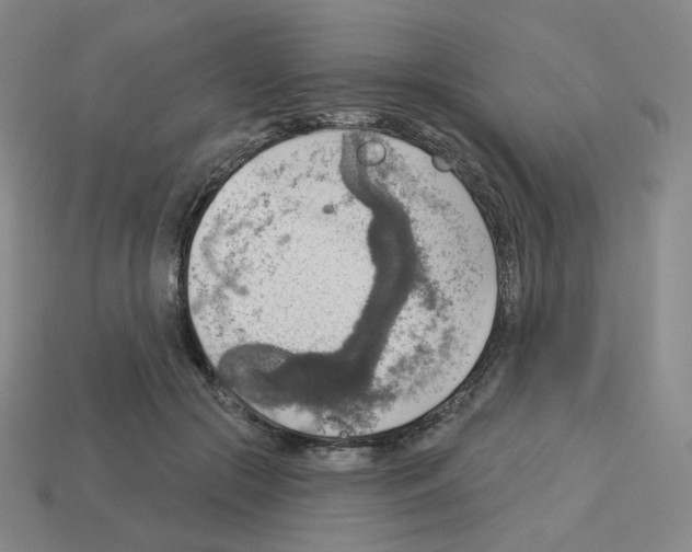 X0000112760553200910011218