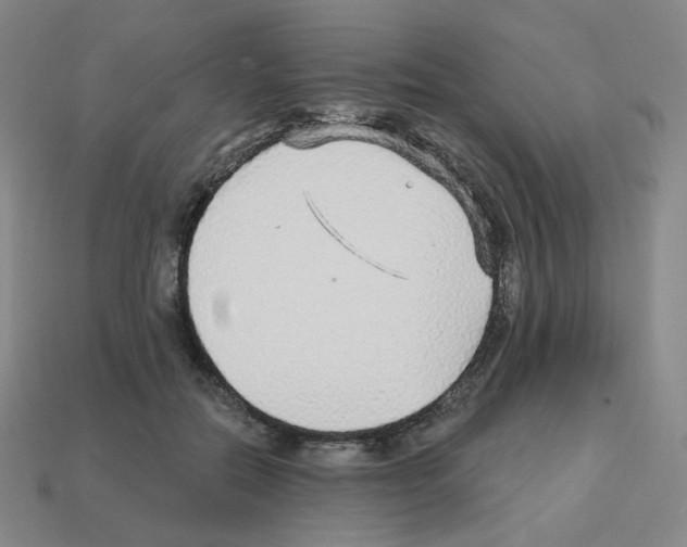 X0000112760554200910011218