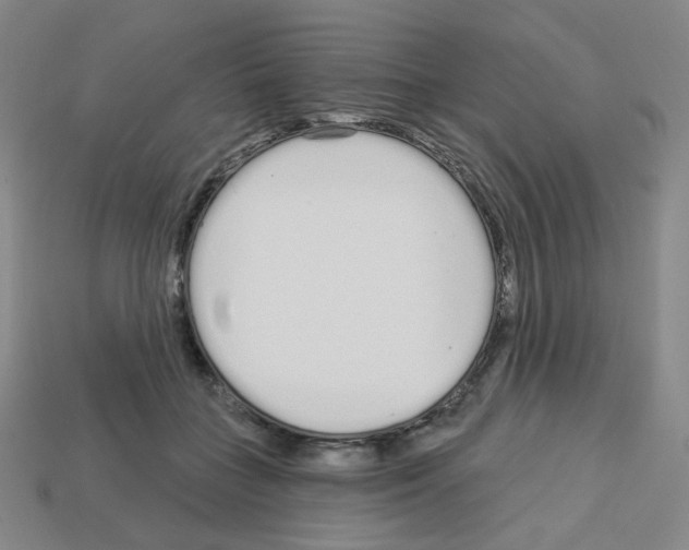 X0000112760555200910011218