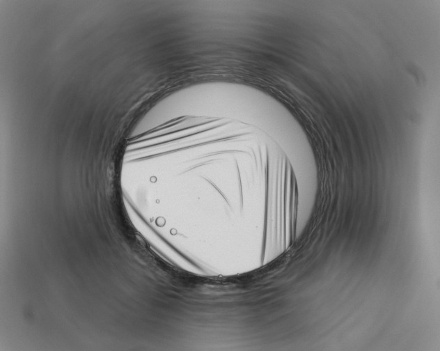 X0000112760556200910011218