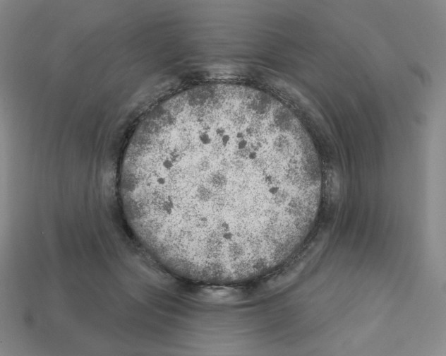X0000112760557200910011218