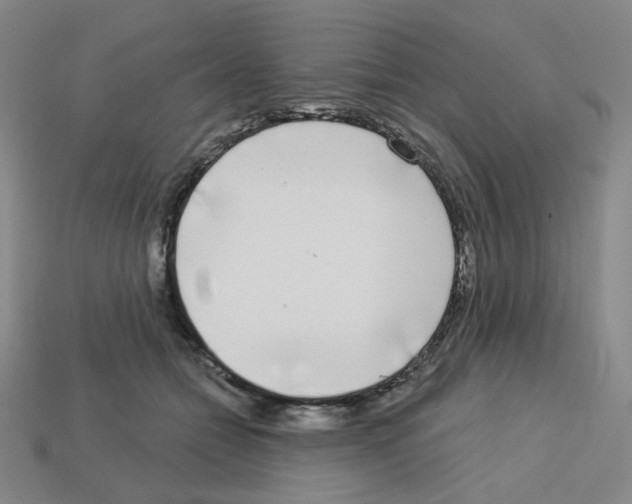 X0000112760558200910011218
