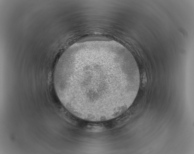 X0000112760559200910011218