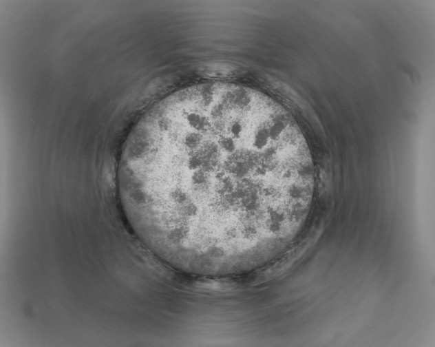 X0000112760561200910011218