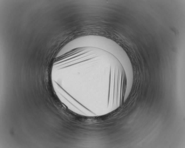X0000112760562200910011218