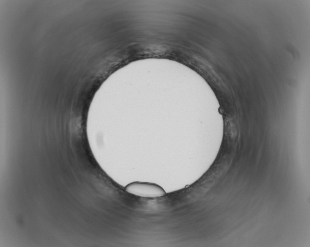 X0000112760564200910011218