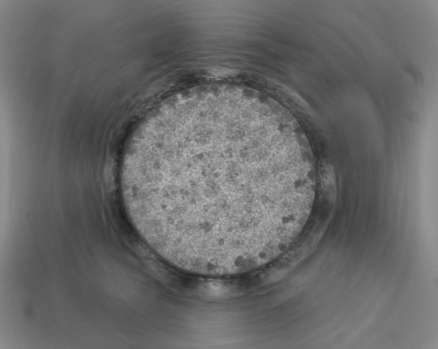 X0000112760565200910011218