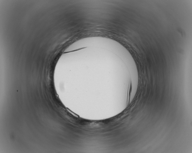 X0000112760566200910011218