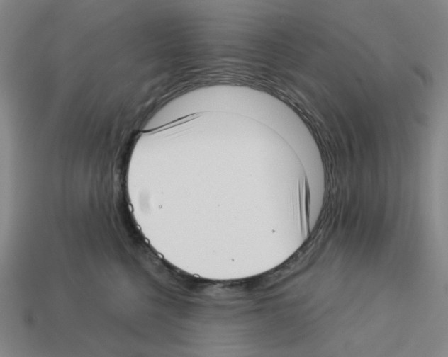 X0000112760568200910011218