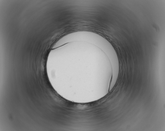 X0000112760570200910011218
