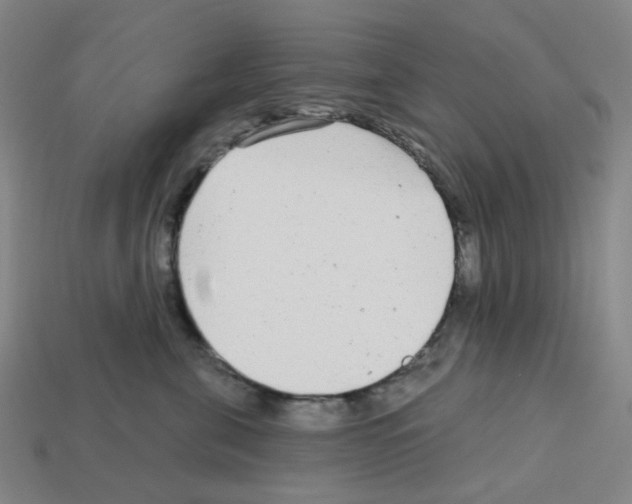 X0000112760571200910011218