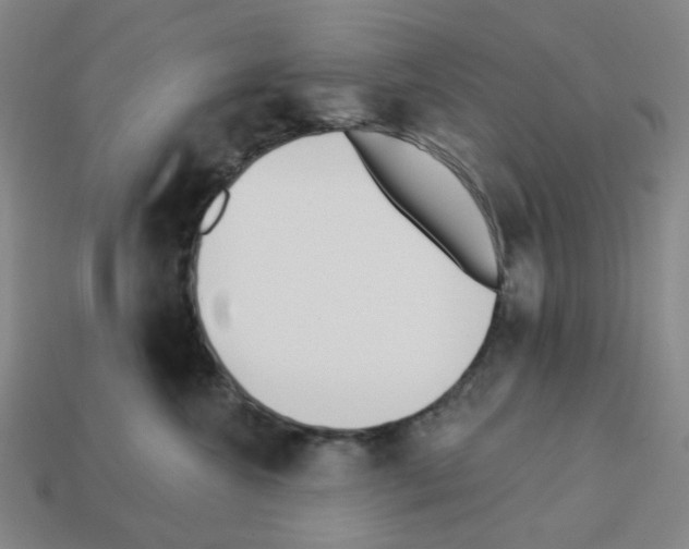 X0000112760572200910011218