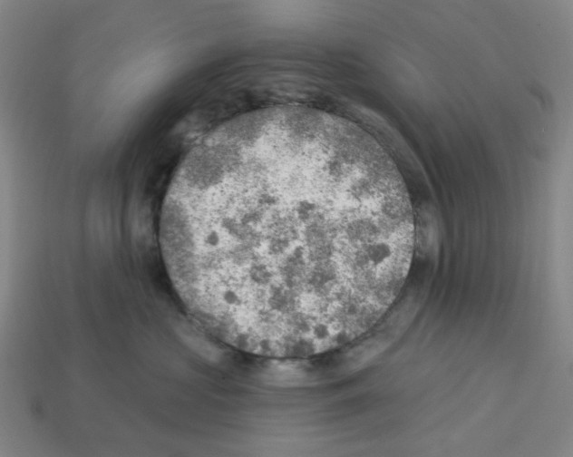 X0000112760573200910011218