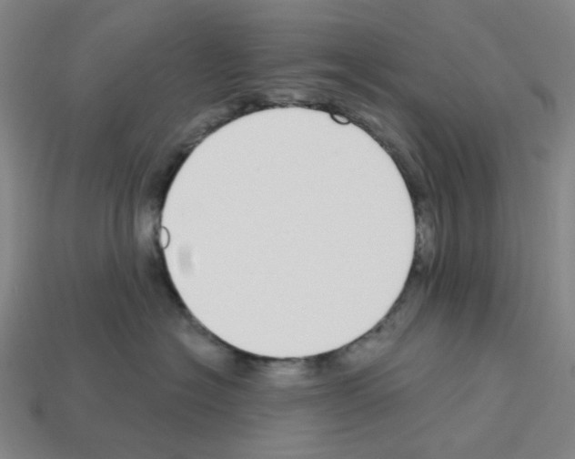 X0000112760574200910011218