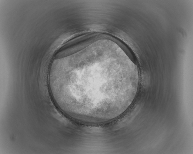 X0000112760577200910011217