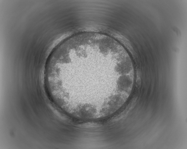 X0000112760578200910011217