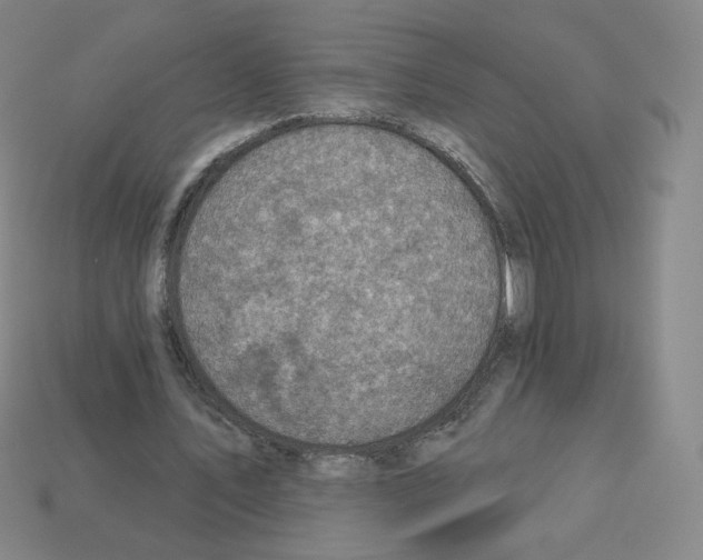 X0000112760579200910011217